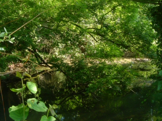 DSC05424.JPG